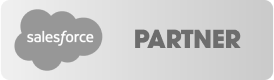 Salesforce Partner