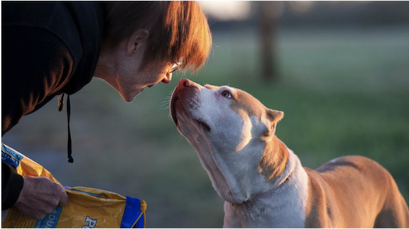 Why It’s Important to Understand Volunteer Interests