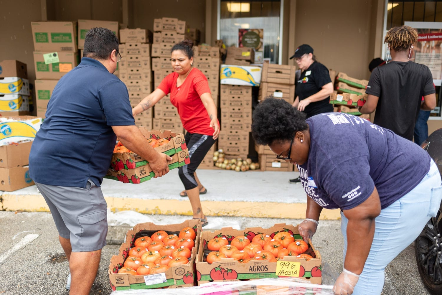 How to Organize a Food Drive: A Step-by-Step Guide for Volunteers
