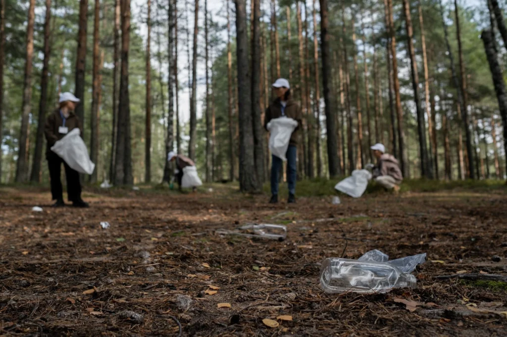 Environmental volunteer opportunities