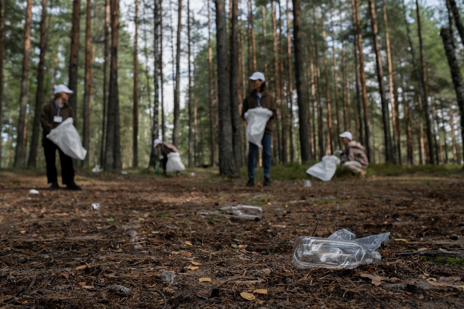 Environmental volunteer opportunities