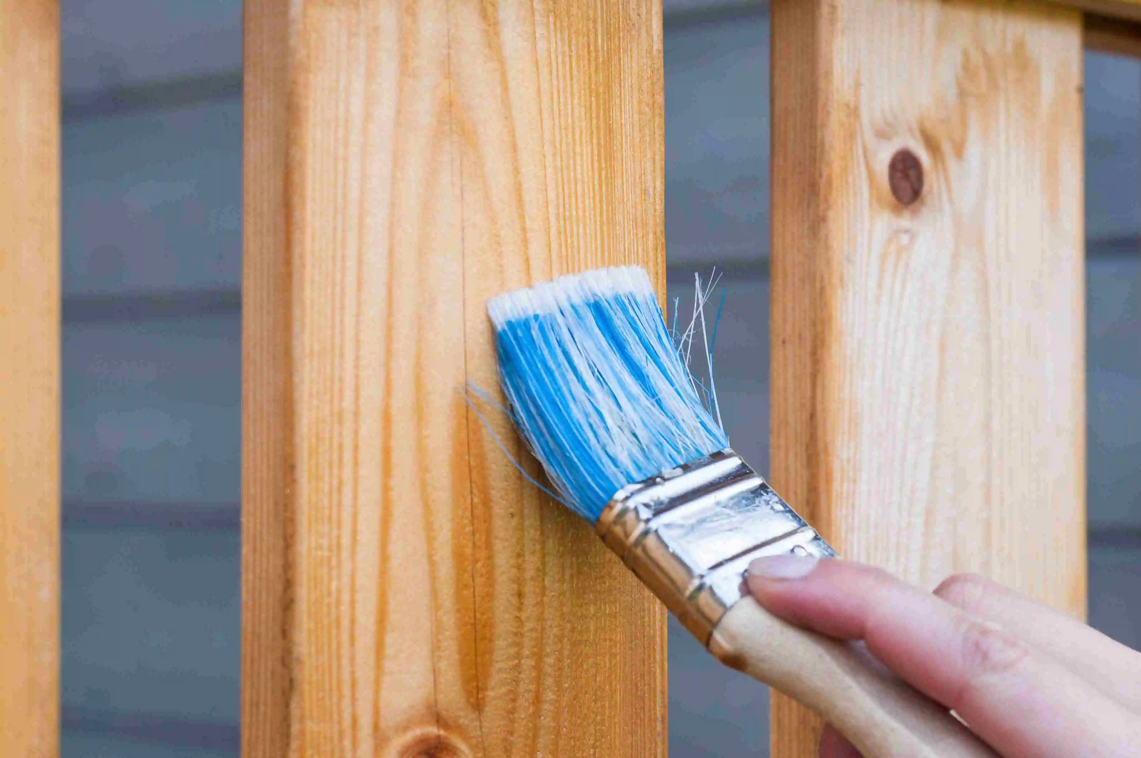 pexels-pixabay-221027_11zon-ezgif.com-jpg-to-webp-converterActivities to help paint fences, benches or outdoor buildings can draw in a volunteer crew. 